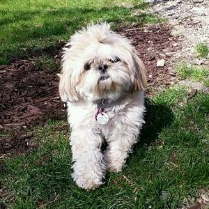 Meet your Posher, Joran