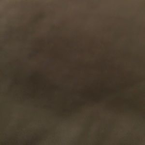 Meet your Posher, Sebi