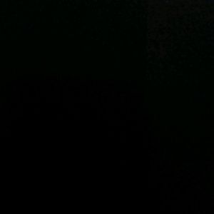 Meet your Posher, Jack