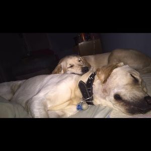 Meet your Posher, Guadalupe