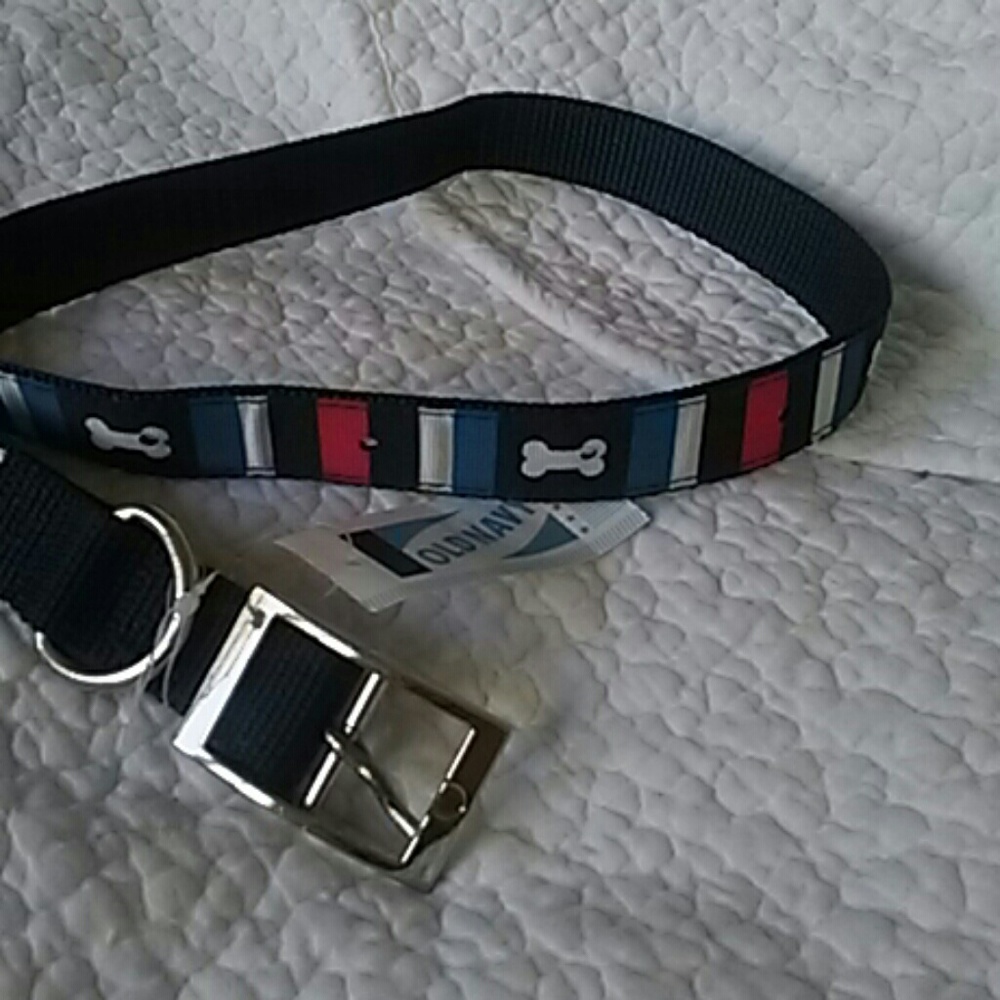NEW~Dog collar