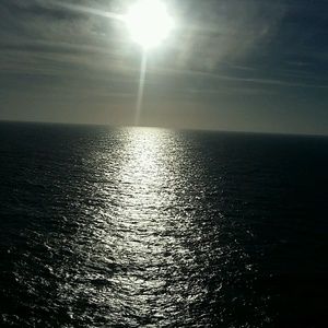 Meet your Posher, Connie