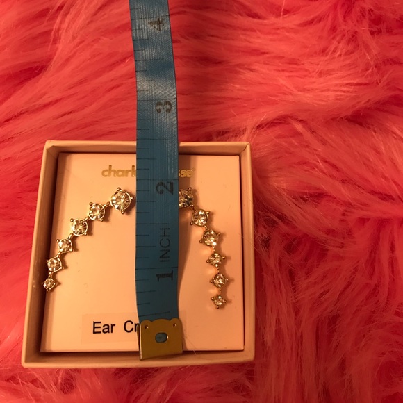 Charlotte Russe earrings - Picture 3 of 4