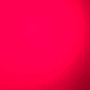 Meet your Posher, Katrina