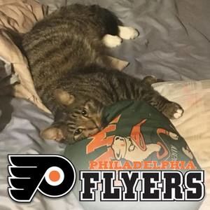 Meet your Posher, Jackie