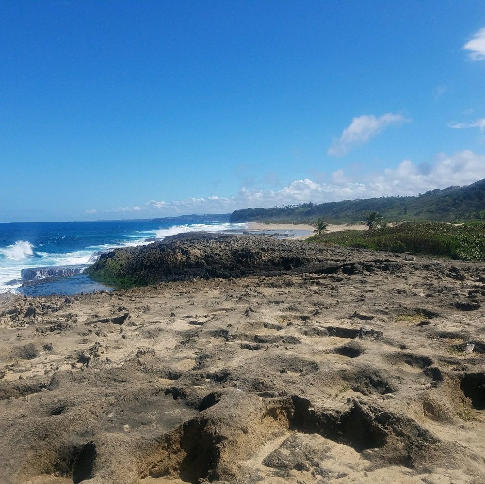 Meet your Posher, Betsy