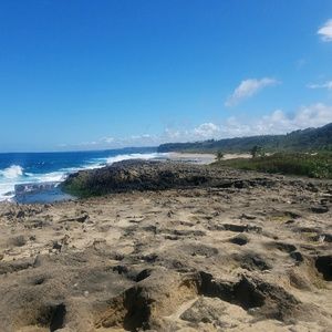 Meet your Posher, Betsy