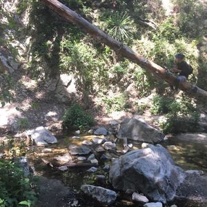 Meet your Posher, Adam