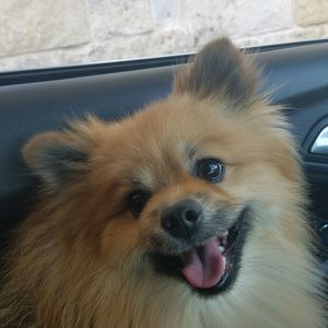 Meet your Posher, Lynn