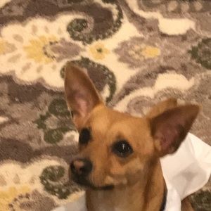 Meet your Posher, Robert