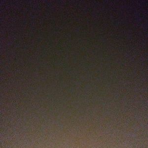 Meet your Posher, Wayne