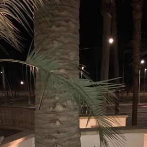 Meet your Posher, Jesus