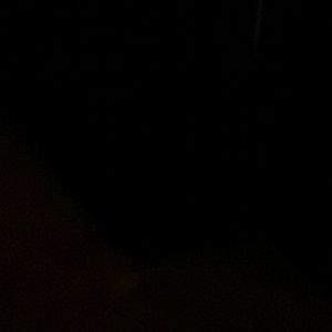 Meet your Posher, Ricky