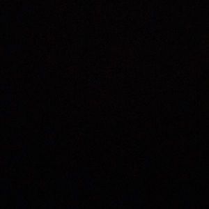 Meet your Posher, Shellon