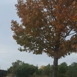 Meet your Posher, Joo