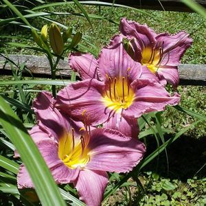 Meet your Posher, Beverly