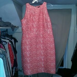 Ann Taylor Dress