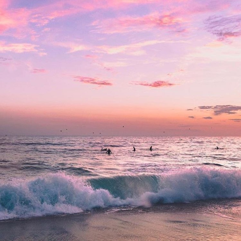 Meet your Posher, Lily