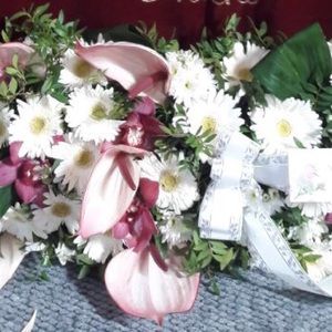 Meet your Posher, Ana