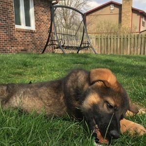 Meet your Posher, Austin