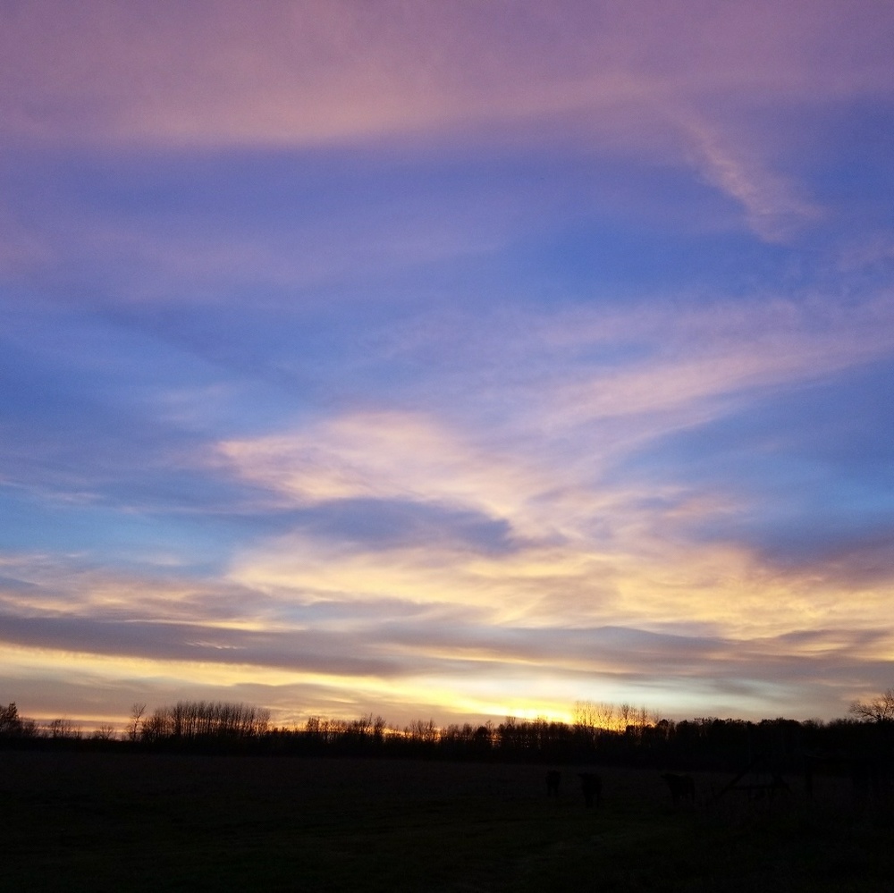 Meet your Posher, Kate!