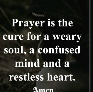 Meet your Posher, Agnes