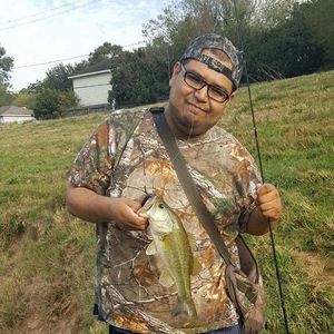 Meet your Posher, Daniel