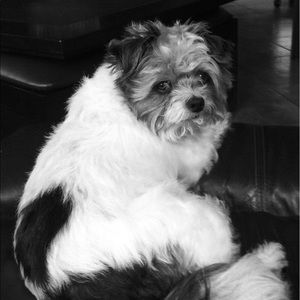 Meet your Posher, Lindsey