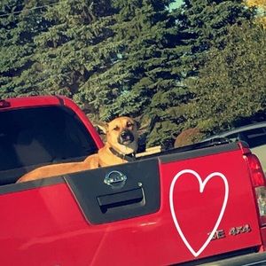 Meet your Posher, Hunter