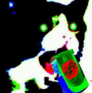 Meet your Posher, Warren