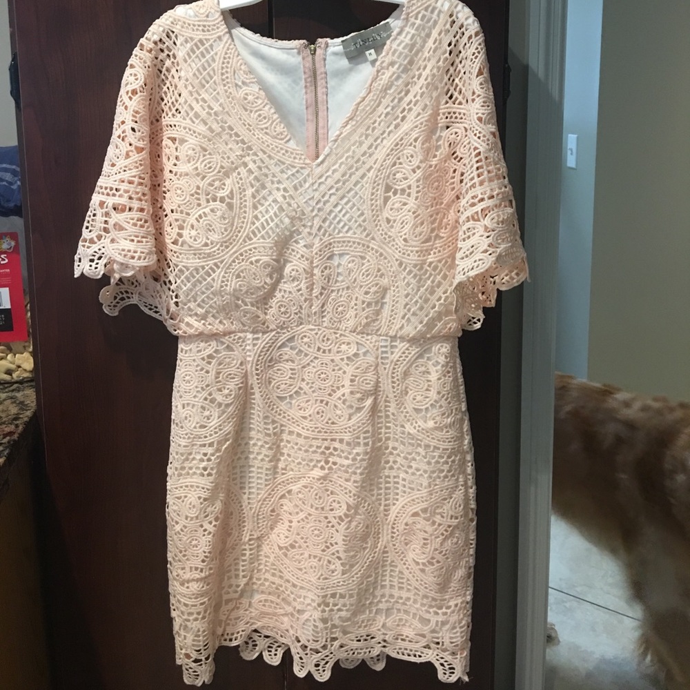 Entourage Pink Crochet Dress