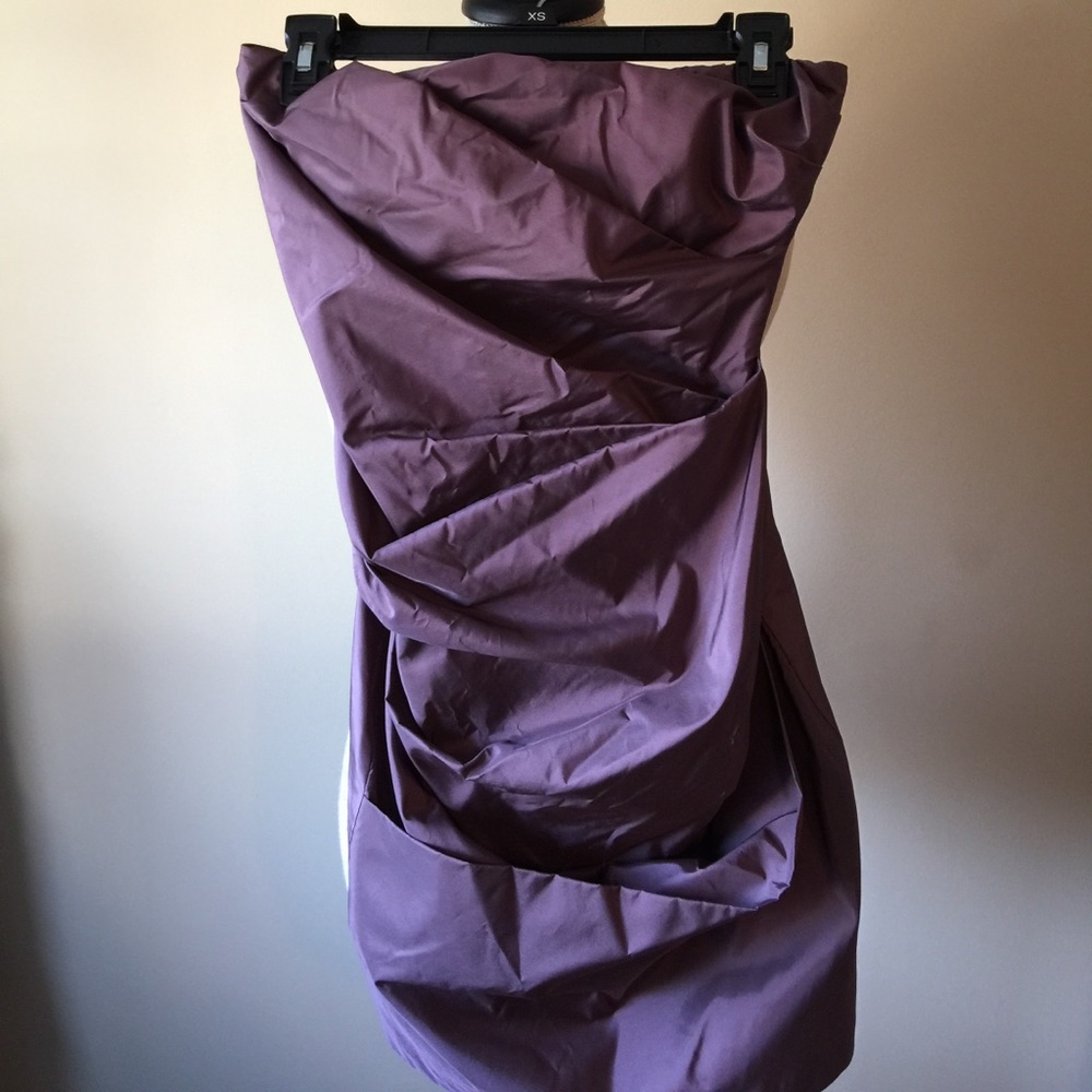 Max Studios 100% Pure Silk Strapless Dress NWT