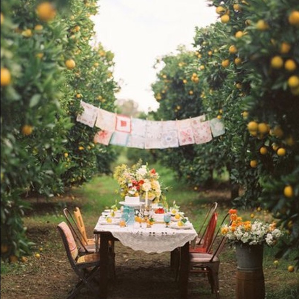 Meet your Posher, Cat