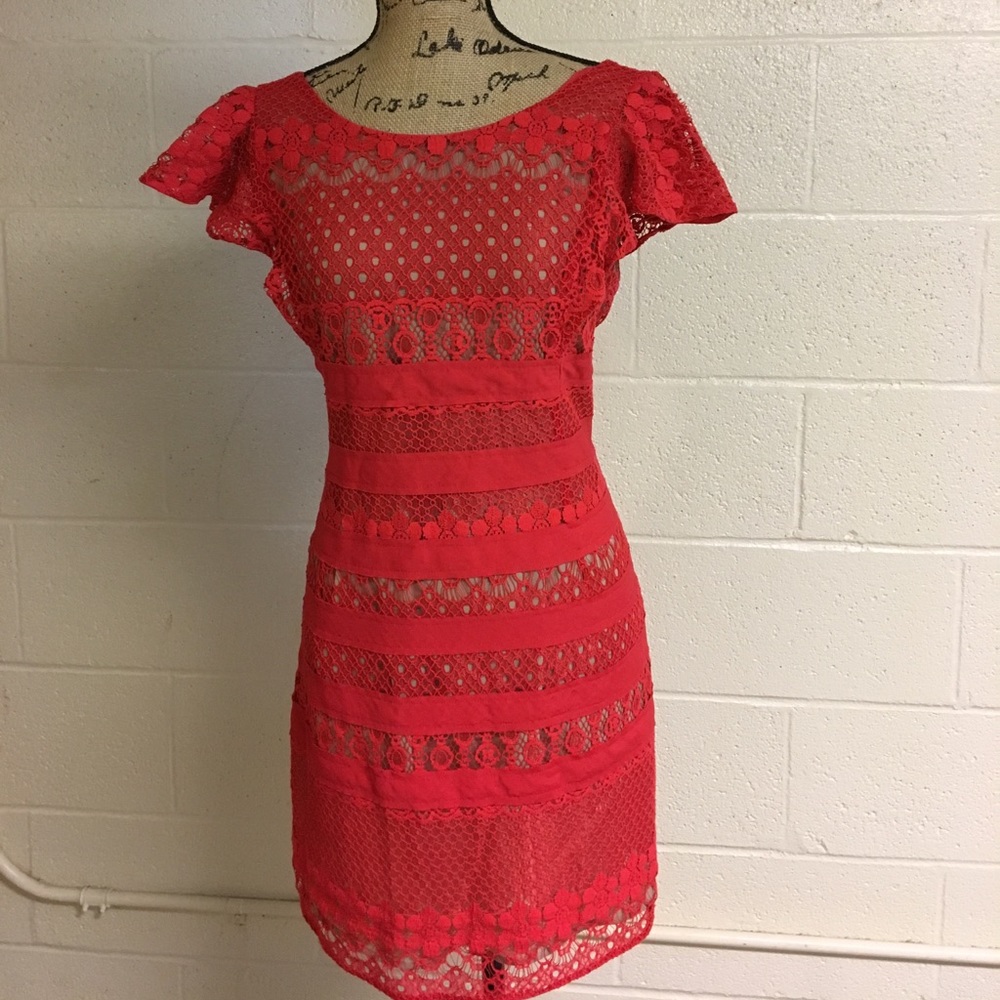 Beautiful Lace Dress