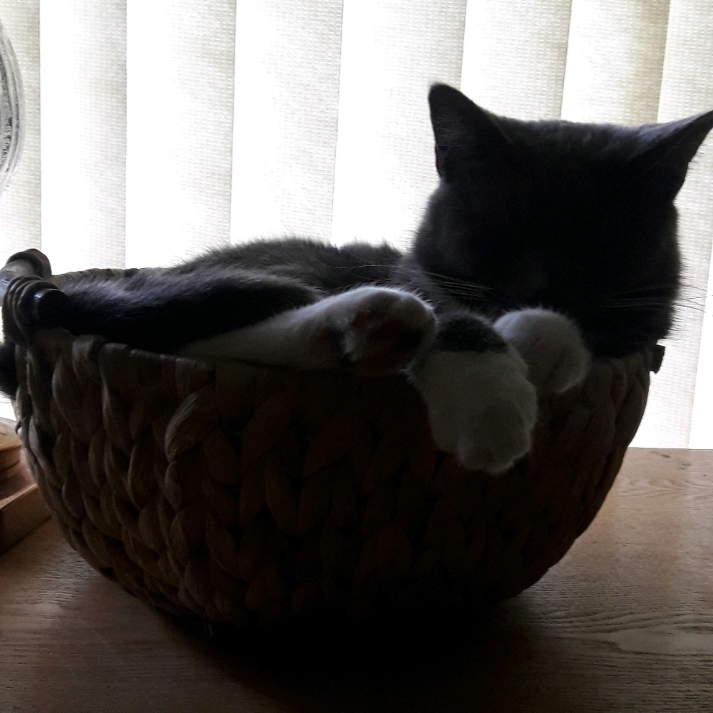 Meet your Posher, Brandt