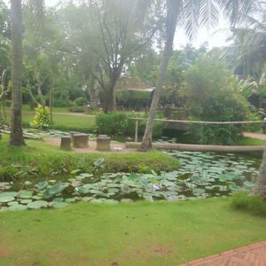 Meet your Posher, Trang