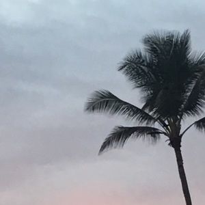 Meet your Posher, Devin