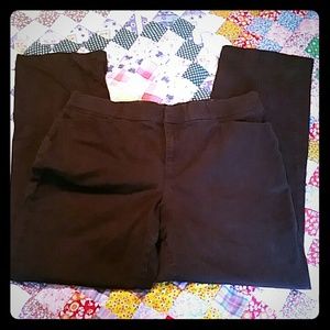 Gloria Vanderbilt  Dark Brown Size 14 Pants