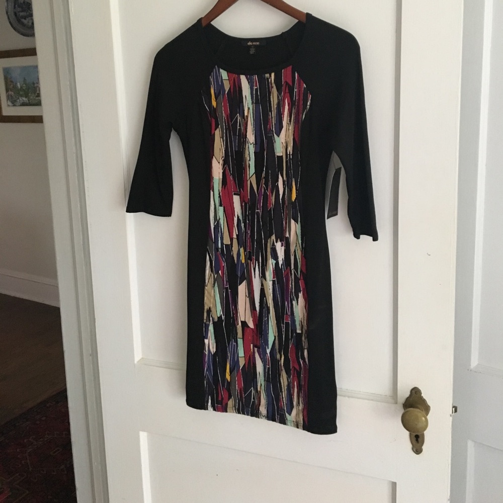 NWT Ella Moss fitted dress