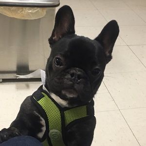 Meet your Posher, Shannon