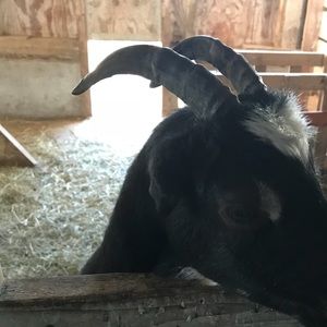 Meet your Posher, Brad