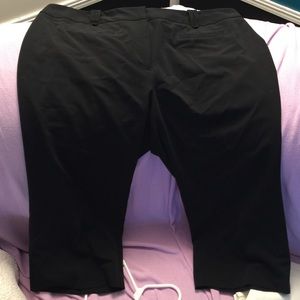 Capri style Dress Pants