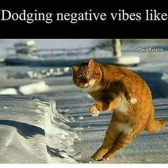 Meet your Posher, Diana - Picture 3 of 4