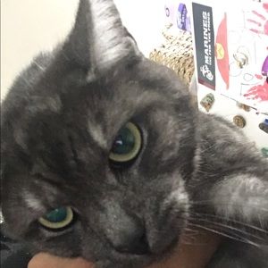 Meet your Posher, Logan