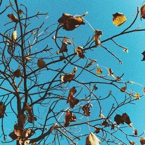 Meet your Posher, Rogelio