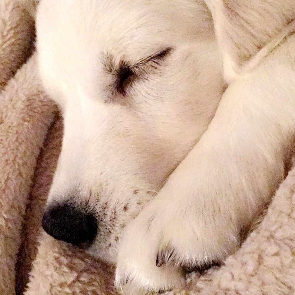 Meet your Posher, Kristin