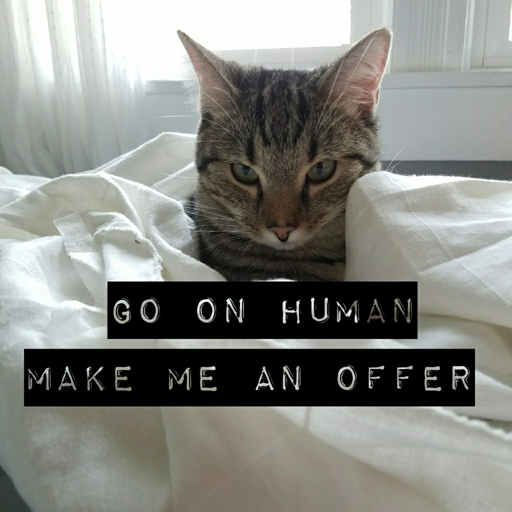 I'll see if I can accommodate your price!