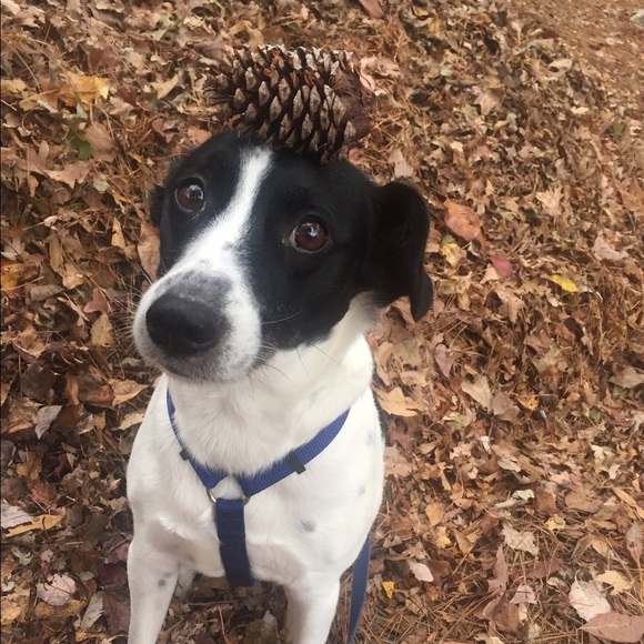 Meet your Posher, Jess - Picture 1 of 1