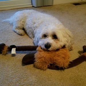 Meet your Posher, Sue