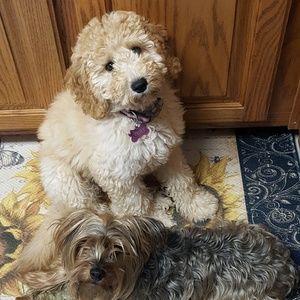 Meet your Posher, Heather